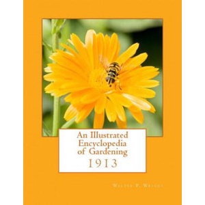 An Illustrated Encyclopedia of Gardening | Walter P Wright, Roger Chambers (ISBN: 9781983885938)