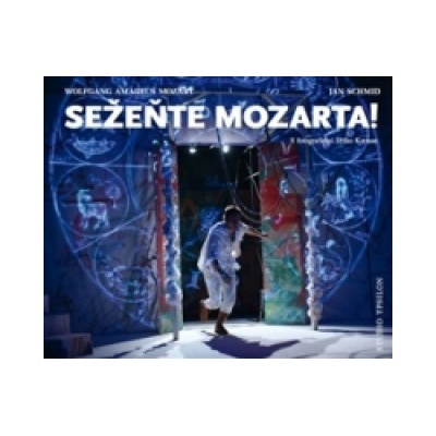 Sežeňte Mozarta! - Jiří Kottas