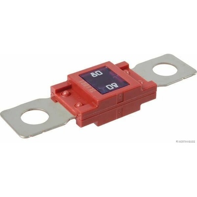 Poistka HERTH+BUSS ELPARTS 50295876