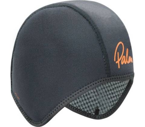 Palm Pilot