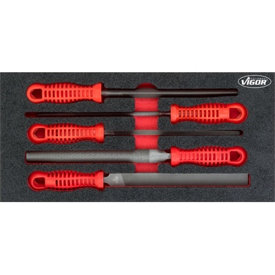 VIGOR V5072