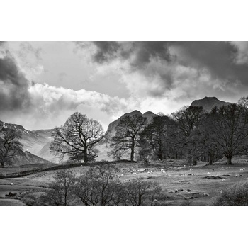 DIMEX ART s. r. o Флизелинов фототапет монохромна провинция 375 x 250 см