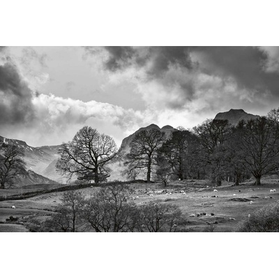 DIMEX ART Флизелинов фототапет монохромна провинция 375 x 250 см