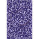 The Mortal Instruments 2: City of Ashes. Collector's Edition