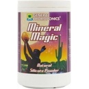 General Hydroponics Mineral Magic 1 l