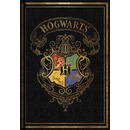 Merch Blok A5 Harry Potter Colourful čierný