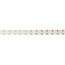 ECOLIGHT EC20299