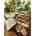 Danson - Puzzle Drevené pexeso Herbár liečivých rastlín - 1 - 39 piese
