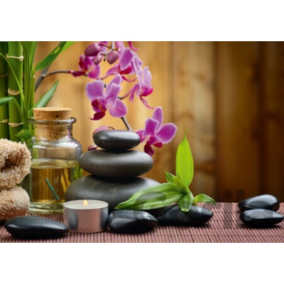 Alipson Zen 500 alipson 500 dielov