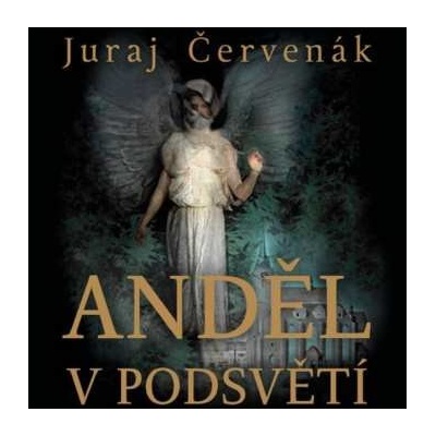 CERVENAK, JURAJ - ANDEL V PODSVETI 2 CD