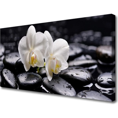 Obraz Canvas Kamene zen biela orchidea 100x50 cm