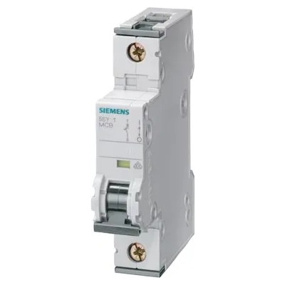 Siemens 5SY6106-6