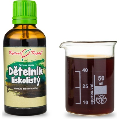 Dětelník lískolistý TCM pavlovy bylinné kvapky tinktúra 50 ml