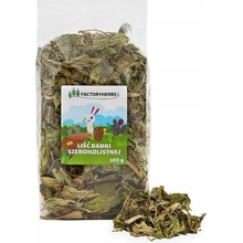 Factoryherbs List skorocelu kopijovitého 100 g