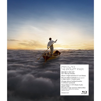 PINK FLOYD: ENDLESS RIVER DVD