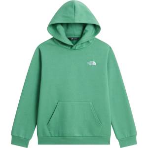 The North Face Детски суичър The North Face Kid's Evolution Simple Dome Pullover Hood Hoodie - Dimmed Algae - размер XL (704-6510-0215)