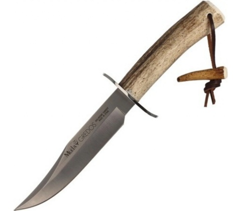 Muela Gred 16