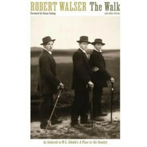 Walk | Robert Walser (ISBN: 9781846689581)