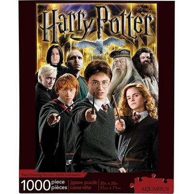 Aquarius Harry Potter Koláž postav 1000 dílků
