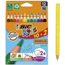 Bic Evolution Triangle 12 barev BIC 8871463