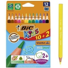 Bic Evolution Triangle 12 barev BIC 8871463