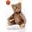 Das große Teddy-Hermann-Buch