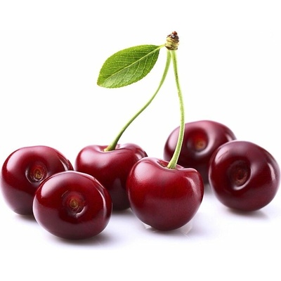 Zeelandia Ovocný gél Višňový 1 kg