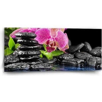 Sablio Obraz Orchidej na kamenech - 110x50 cm