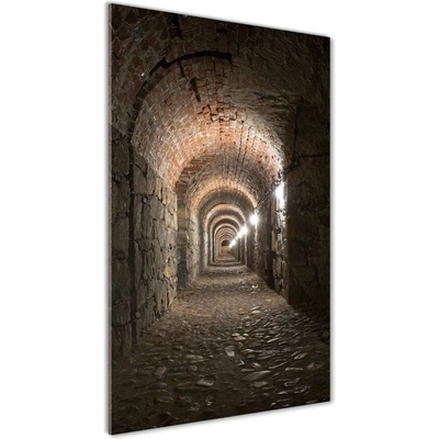 Vertikálny foto obraz sklenený Pivnice 50x100 cm