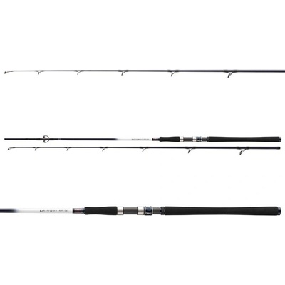 Daiwa Grandwave Pollock 2,4 m 40-100 g 2 Diely