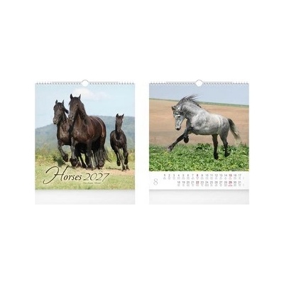 nástěnný malý Horses 1061735 2027