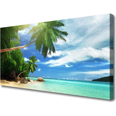 Obraz Canvas Palma pláž more krajina 100x50 cm