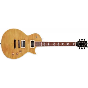 ESP-LTD EC-256