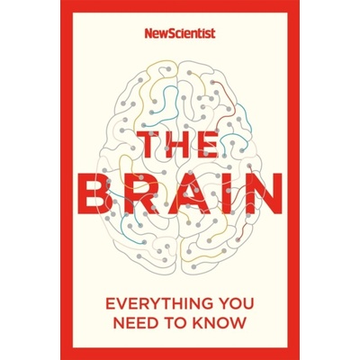 The Brain - New Scientist