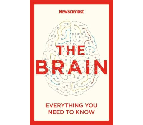 The Brain - New Scientist
