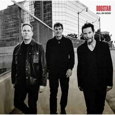 DOGSTAR - ALL IN NOW (1VINYL)