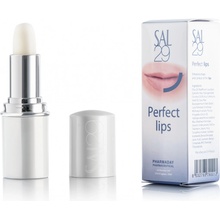 SAL29 Perfect lips balzámová rtěnka pro hydrataci rtů 4 g