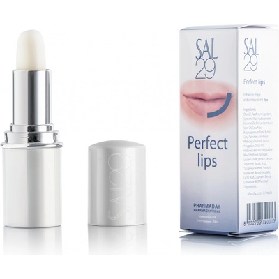 SAL29 Perfect lips balzámová rtěnka pro hydrataci rtů 4 g – Zboží Dáma