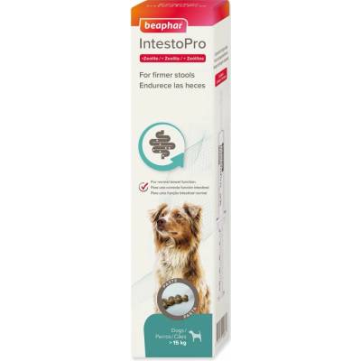 Pasta Beaphar IntestoPro pro psy nad 15 kg 2 x 20 ml