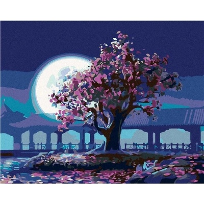 zuty Malování podle čísel Úplněk 100 x 80 cm vypnuté plátno na rám