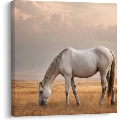 Obraz osamělý kůň na louce - 40x40