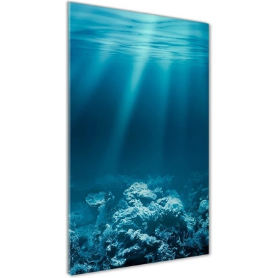 Vertikálny foto obraz sklo tvrdené Podvodný svet 50x100 cm