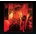 WASP - LIVE IN THE RAW CD