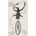 Fantod Pack - Edward Gorey