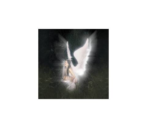 Barrett Nessa - Young Forever CD