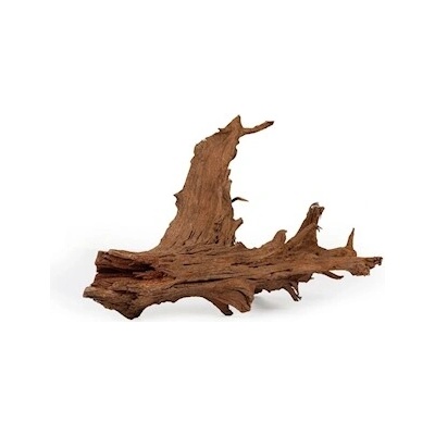 Macenauer Kořen mangrove S 20 cm