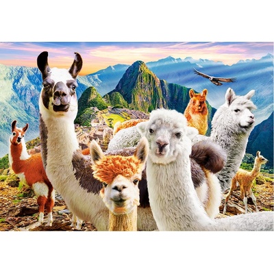 CASTORLAND Selfie lam na Macchu Picchu 1000 dílků