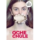 Ochechule