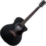 Pasadena PGC-200E Black Електро-акустична китара Джъмбо