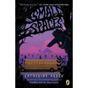 Small Spaces (ISBN: 9780525515043)
